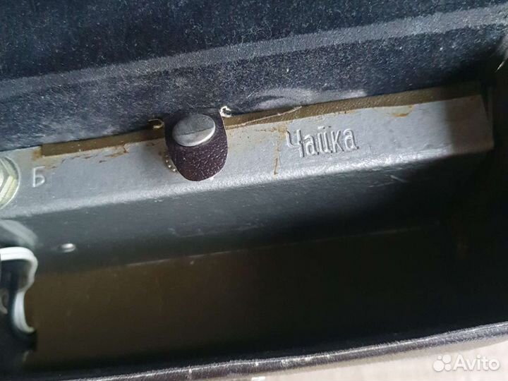 Вспышка камеры Чайка