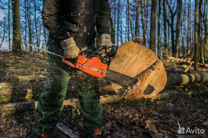 Спил и удаление деревьев