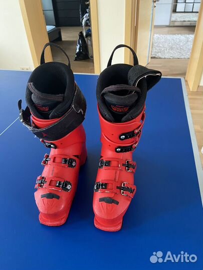 Горные лыжи