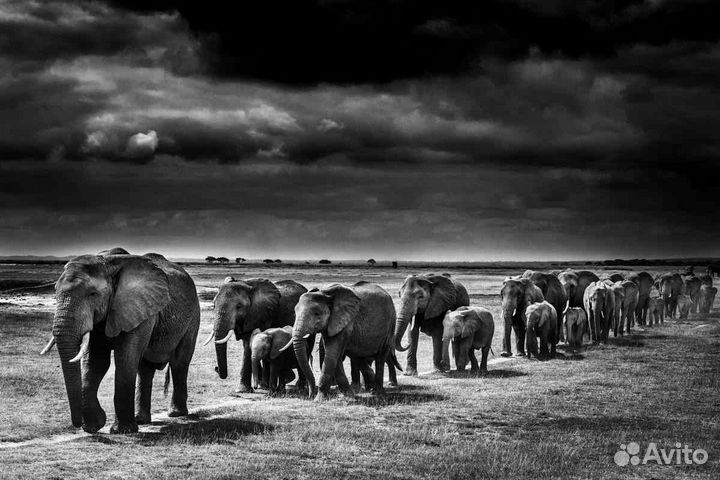 Панно на алюминии 150х100 ART LB-015 Художник Laur