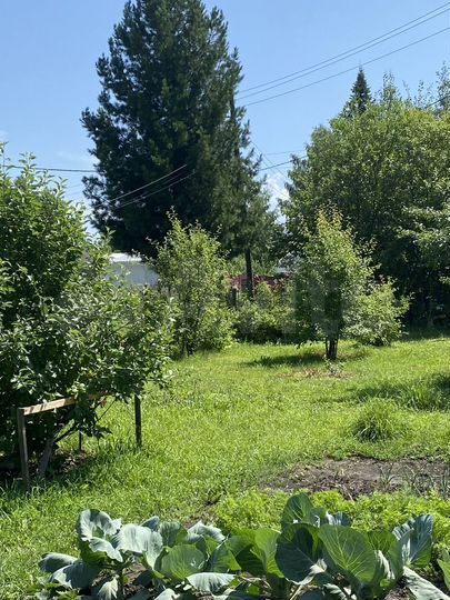 Участок 11,4 сот. (СНТ, ДНП)
