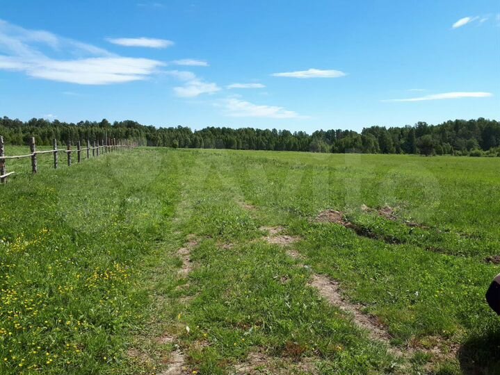 Участок 1,26 га (СНТ, ДНП)