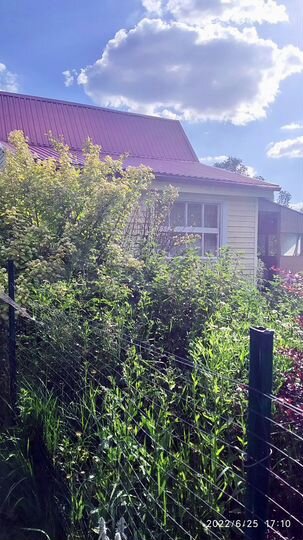 Дача 30 м² на участке 5 сот.