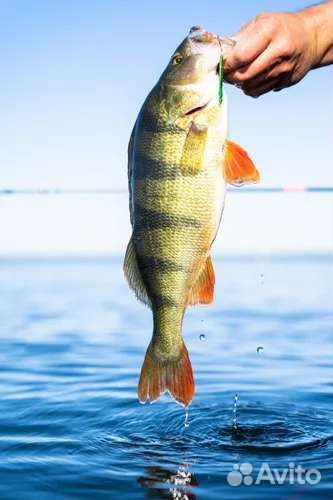 Кастинговая блесна 7 гр caperlan Х decathlon