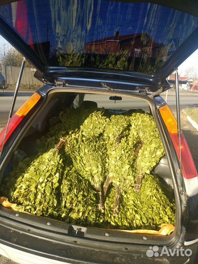 Березовые веники