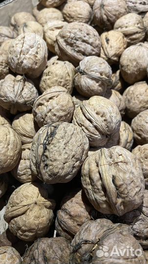 Грецкий орех