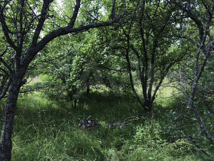 Дача 110 м² на участке 10 сот.