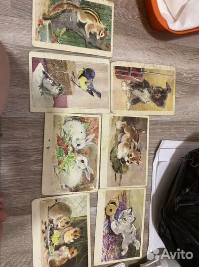 Открытки советские про животых