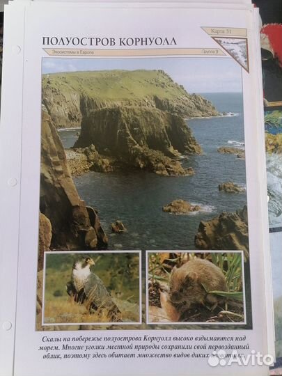 Энциклопедия 