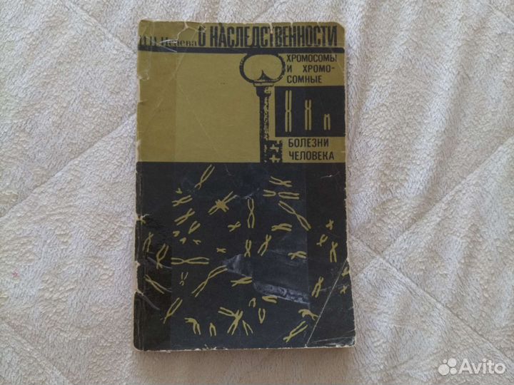 Брошюра Хромосомы и хромосомные болезни Медицина