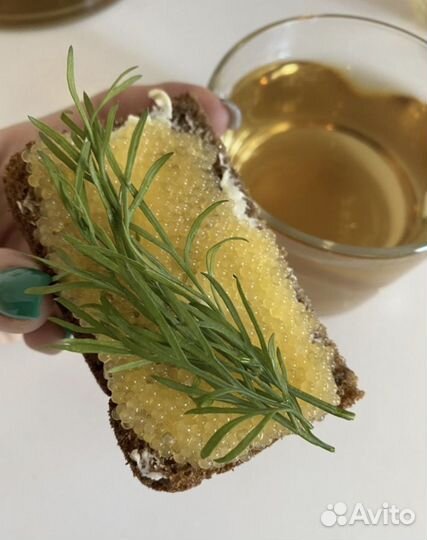 Икра Красная. Икра Щуки Свежая Охлаждёнка 2024