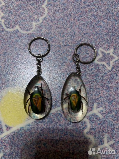 Брелок с настоящим майским жуком