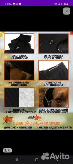 Попона для собак