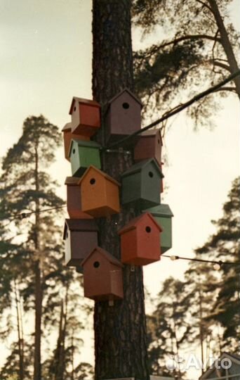 Цветная негативная киноплёнка «Свема дс-5М»