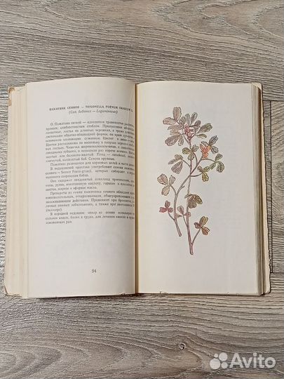 Книга Лекарственные растения 1976 г