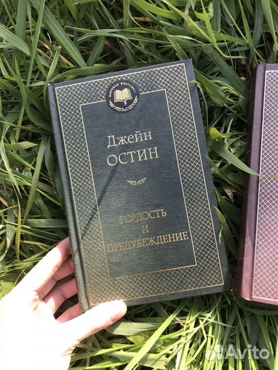 Книги разные, Джоди Пиколт, Уайльд, Бронте, Пушкин