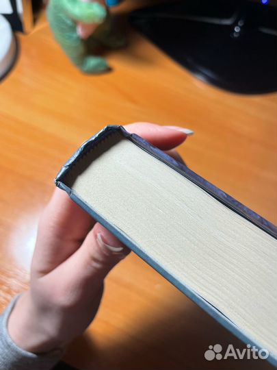 Корнелия Функе: Бесшабашный