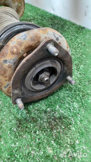 Амортизатор передний правый Nissan Almera N16 1.8