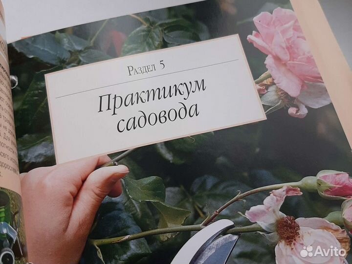 Сад моей мечты