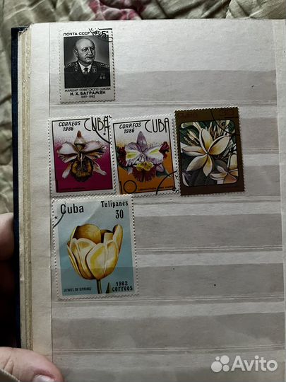 Коллекционные марки