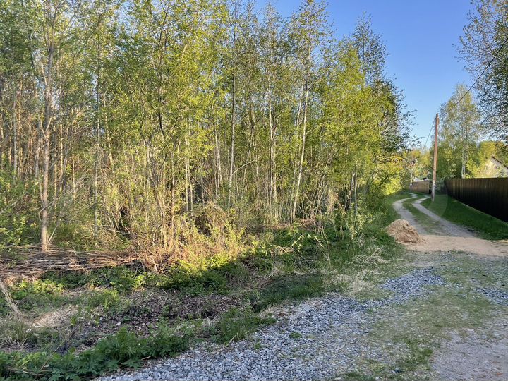 Участок 10 сот. (СНТ, ДНП)