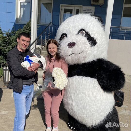 Ростовая кукла панда Курск шары
