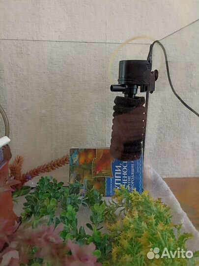 Аквариума 100