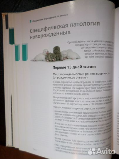 Руководство по разведению кошек книга