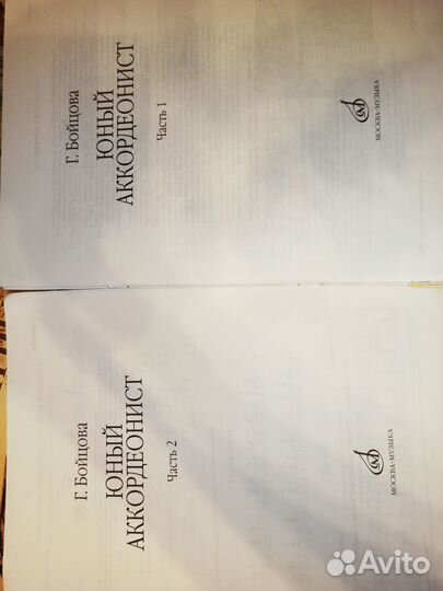 Юный аккордеонист Бойцова