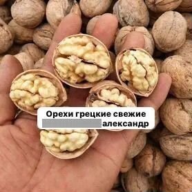 Грецкий орех