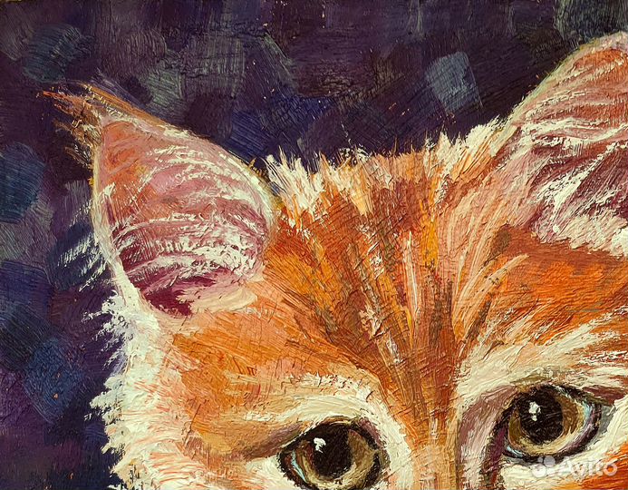 Картина маслом Рыжий котенок Белый кот 30 х 21 см