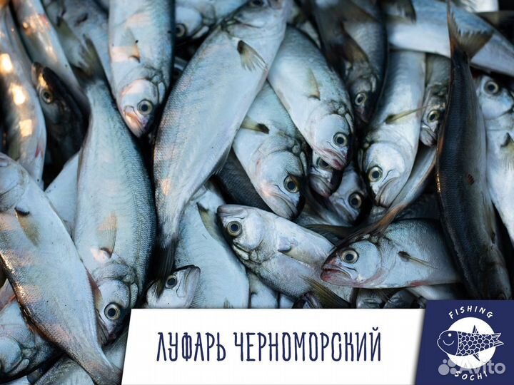 Красная икра Форели 250г