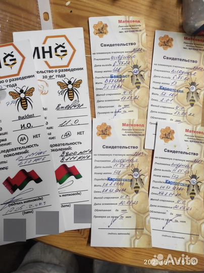 Продаю пчелопакеты пчеломатки плодные не плодные