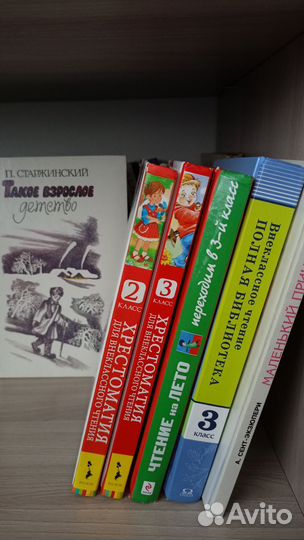 Книги для 2 кл. и 3 кл. внеклассное чтение
