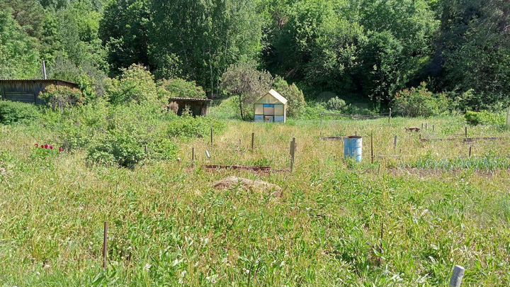 Дача 24 м² на участке 4 сот.