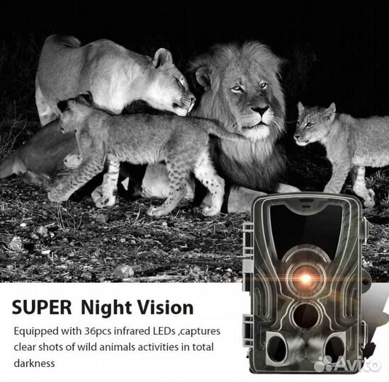 Камера фотоловушка видеонаблюдение HC801A