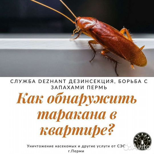 Обработка от клещей,шершней,комаров,ос,короеда