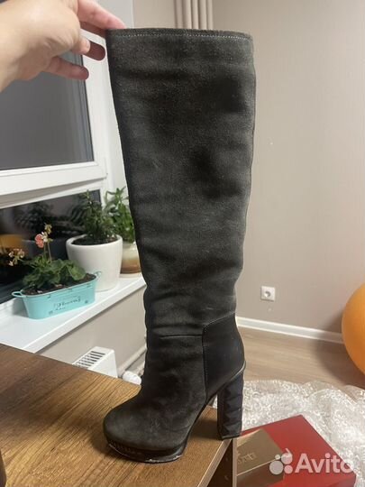 Ботфорты натуральная замша