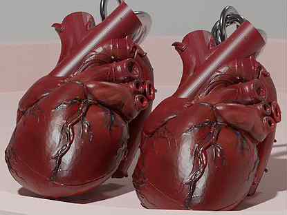 Серьги Анатомическое сердце