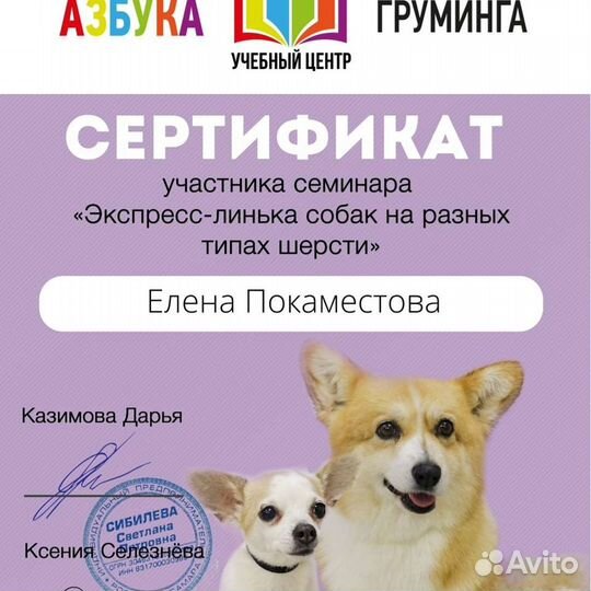 Стрижка собак и кошек