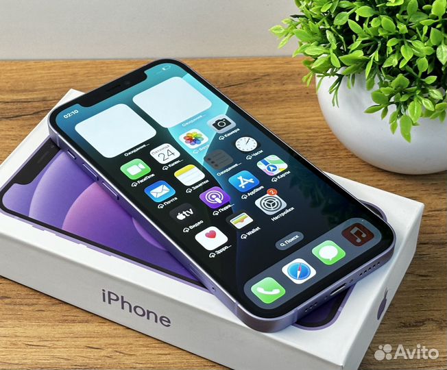 iPhone 12, 256 ГБ