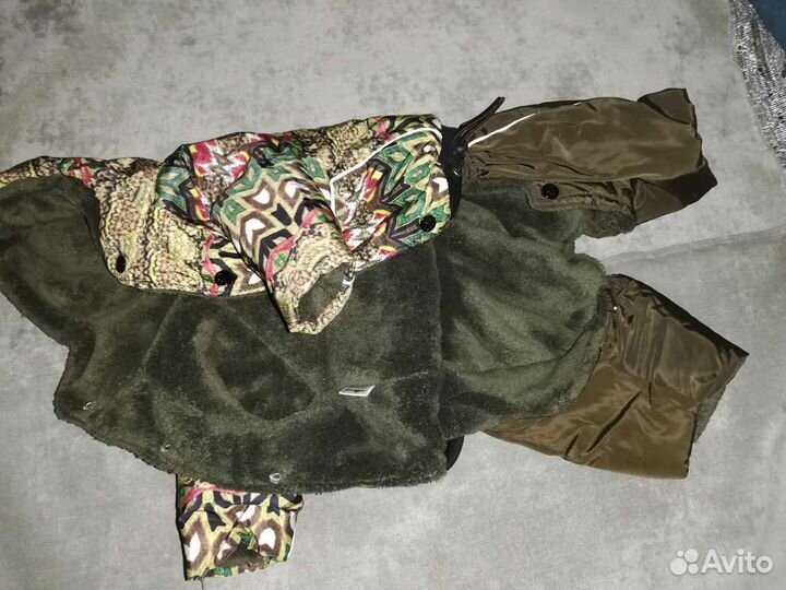 Вещи на мелкую породу собак