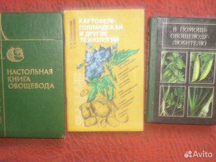 Овощеводство Картофель 3шт