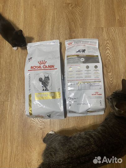 Корм для кошек royal canin urinary 1,5 кг