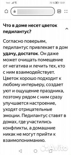 Педилантус