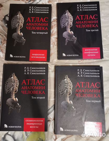 Атлас анатомии человека Синельников