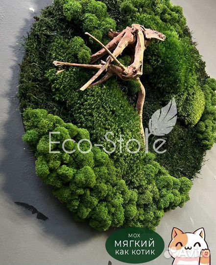 Картина со мхом и корягой