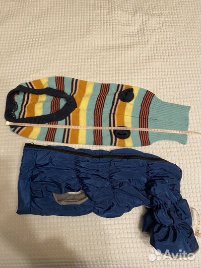 Куртка + кофта для собаки на зиму