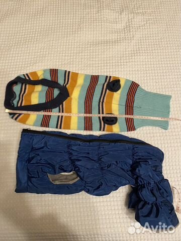 Куртка + кофта для собаки на зиму