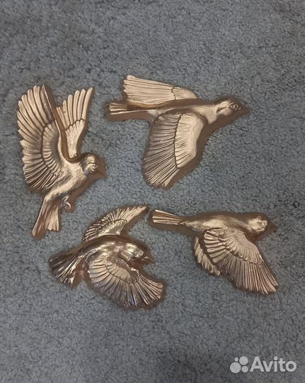 Декоративные птицы